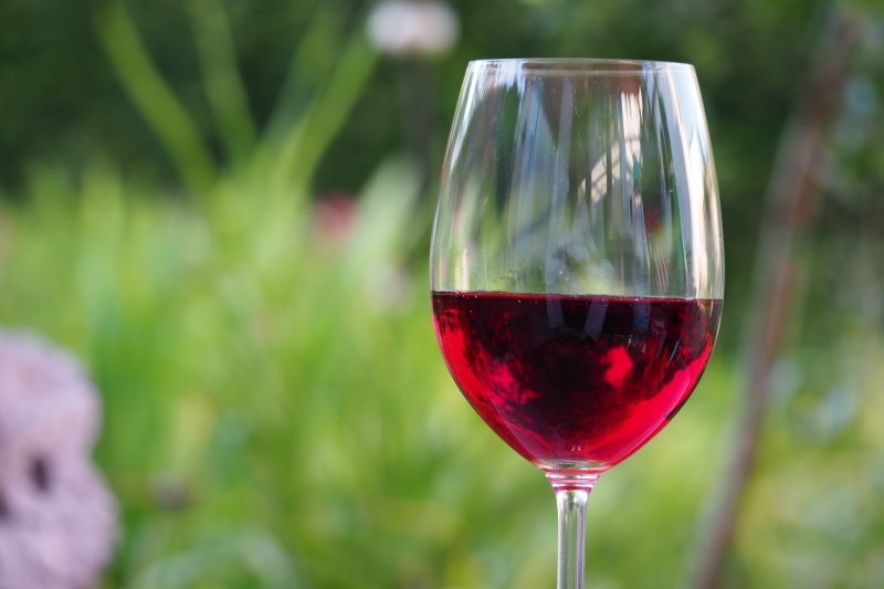 Ein Glas Rotwein vor grünem Hintergrund